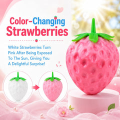 2pcs Squeezable Strawberry Toy,Color Changing Strawberry Squishy Toy, Sunlight Activated Pink Transformation Stress Ball,Squeezable Fruit Ball Realistic Strawberry Model Squishy（Pink）